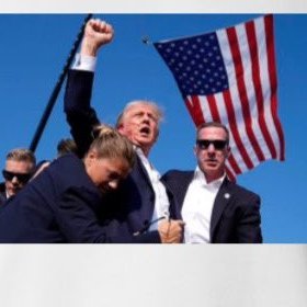 deepsingh233069's profile picture. support trump