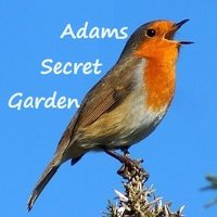Adams Secret Garden (@adamspursuits) 's Twitter Profile