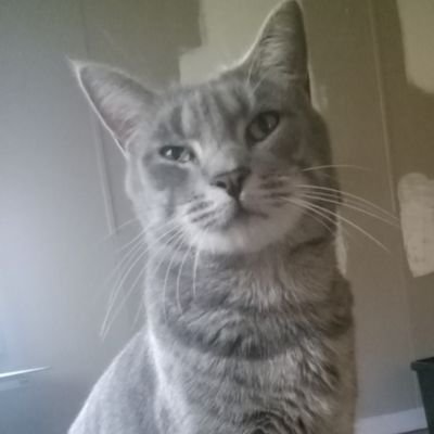 bamaroundman169's profile picture. Would love to see the America I grew up in before I'm gone instead of this liberal bs