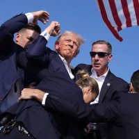 Wise Ox (@wise_ox) 's Twitter Profile Photo