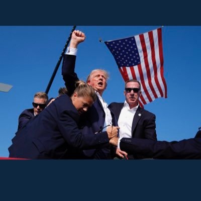 ChiodiniMike's profile picture. 