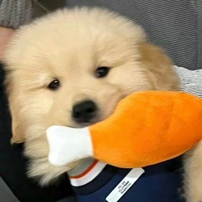 ly0387204988427's profile picture. 