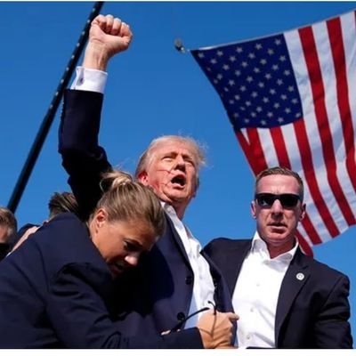 Americanpipepro's profile picture. 1776 
patriotic 
common sense. 
Republican