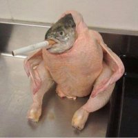 Patrick Bateman (@swampdog4614) 's Twitter Profile Photo