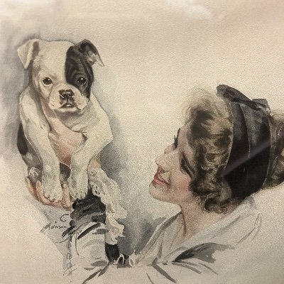 eleanorugly's profile picture. Read books. Eat shrooms.