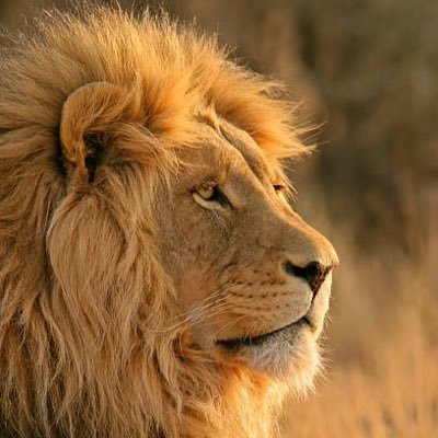 DeanS2424's profile picture. Independent who dislikes most politicians on both sides. DM = instant block. Faith, Family, Freedom
