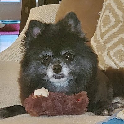 mykael67's profile picture. 