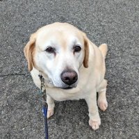 ハッピー (@gg6ouddcpphojma) 's Twitter Profile