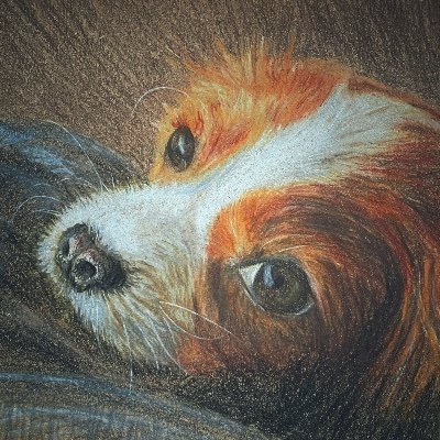 Suzanneさんのプロフィール画像