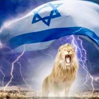 Michael 🇺🇸✡︎🇮🇱🕯 (@thebearjew107) 's Twitter Profile