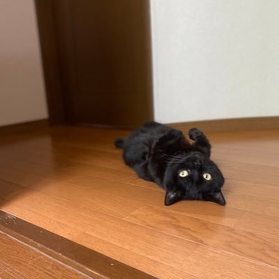 やどかりさんのプロフィール画像