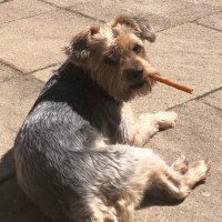 JMartin (@martin_just_j) 's Twitter Profile