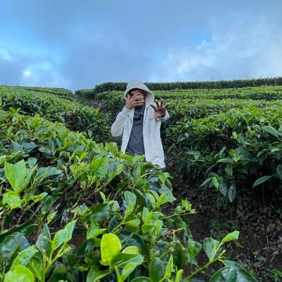 Benjamin2602sam's profile picture. 20 | nextjs | Open source | Feel Free to Connect~