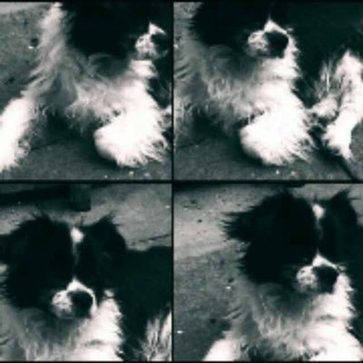 0xzic's profile picture. 