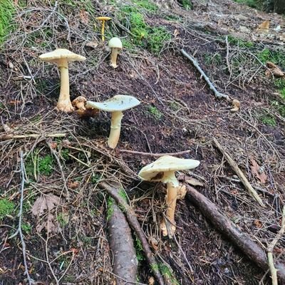 Johndollards63's profile picture. 