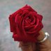 Mayank Sharma (@896040mayank) Twitter profile photo Mayank Sharma (@896040mayank) Twitter profile photo