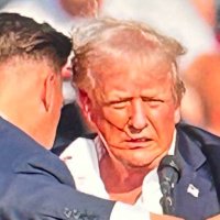 ❤️🇺🇸Ultra MAGA PVTRUMP❤️🇺🇸 (@pvtrump) 's Twitter Profile