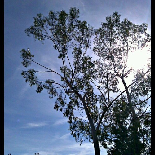 elm8's profile picture. 