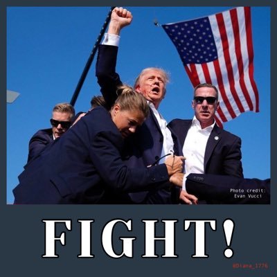 American patriot, engineer (BSEE) in regulated medical devices, fighting for election integrity, medical freedom, 2A and the US Constitution.