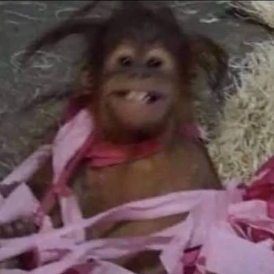 𝐎𝐂𝐄𝐀𝐍さんのプロフィール画像