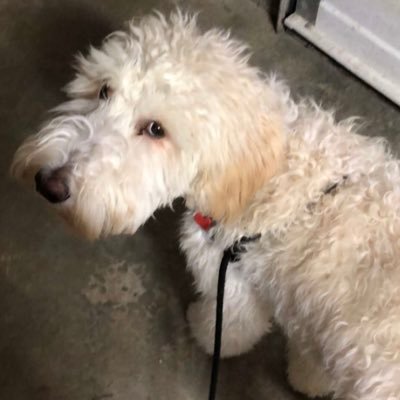 skrttaholic's profile picture. Uuuh I’m creative 🫡🫡🫡🫨I also enjoy working out, streaming and games https://t.co/nvuwHoNgQy