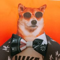 あや (@ayamos_ykc) 's Twitter Profile