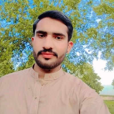 SaqlainMun55018's profile picture. education