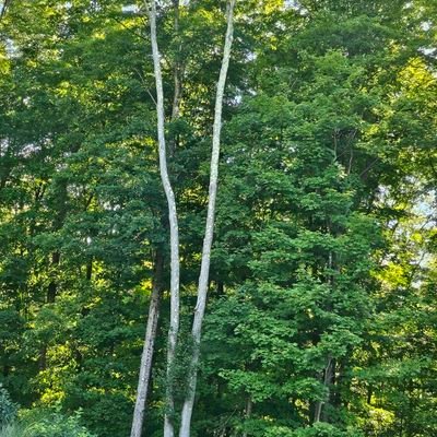 SpiritualTourst's profile picture. 