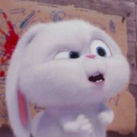 janeen_(ᓀ‸ᓂ)//พี่จั๋งธีร์!!!🫶🏻🍒🌱 (@jjn_feb) 's Twitter Profile