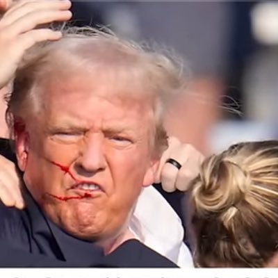 CatTurdBoxGA's profile picture. MAGA 🇺🇸