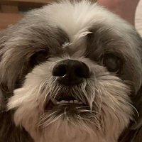 ๐ฝ๐๐ฟ๐ฟ๐ฟ (@lb_protuza) 's Twitter Profile