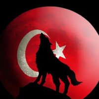 Sezin Güçlü (@sezinguc67) 's Twitter Profile