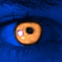 Dr Cucaracho (@drcucaracho) 's Twitter Profile Photo