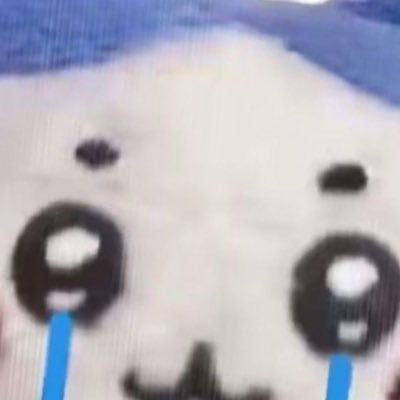 Elizabe21120901's profile picture. 