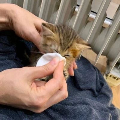 _llixue's profile picture. ?
bat pa magbbio