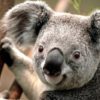 RichardK1771852's profile picture. 