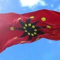 ROC_HMZZ's profile picture. 