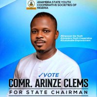 Arinze Clems (@clemsarinze) 's Twitter Profile