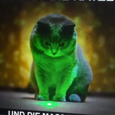 CKausL's profile picture. Ich bin nicht auf dieser Welt um anderen zu gefallen. 
Zynisch, sarkastisch, bissig. Und alles meine ureigenste Meinung. 
🚫 KEINE DN 🚫