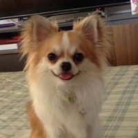 KHAIMOOK (@khaimook_mamja) 's Twitter Profile Photo KHAIMOOK (@khaimook_mamja) 's Twitter Profile Photo