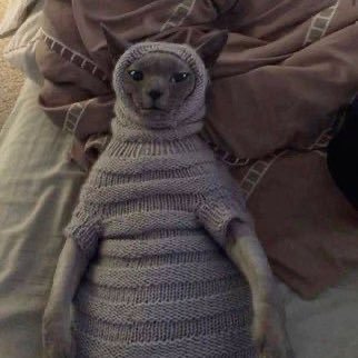 sandssssssssss1's profile picture. smackaroos