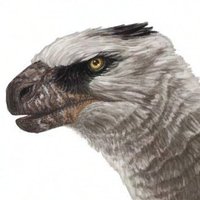 Sean Closson🦕🦖 (@0coffeeblack0) 's Twitter Profile Photo Sean Closson🦕🦖 (@0coffeeblack0) 's Twitter Profile Photo