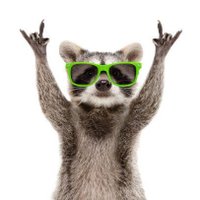 Animal Funny Talk (@animal_tools) 's Twitter Profile