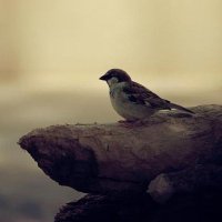suchak patel (@suchak) 's Twitter Profile Photo suchak patel (@suchak) 's Twitter Profile Photo