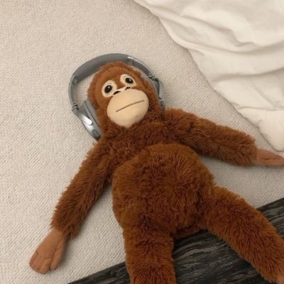 bobd_di935's profile picture. 성인 / 맛도리 씨피를 찾아갑니다 🦊🐰/🐻🐶/🦊🐰 계정이 너무 많아 알페스는 한 계정으로 굴립니다.. 부디 차단만 하지 말아주세요,,🙏🏻