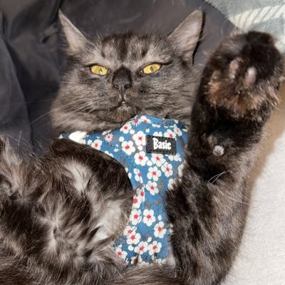 mathilbe231's profile picture. 