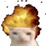 anmmm178's profile picture. 