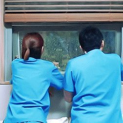 익준송화