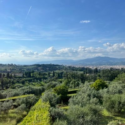 WebbyJosh's profile picture. 