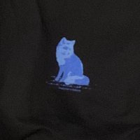 T (@dumptaa_) 's Twitter Profile